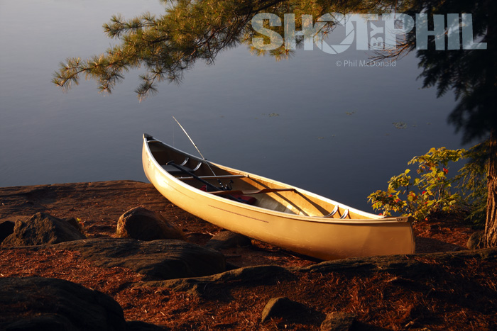 Morning Canoe
